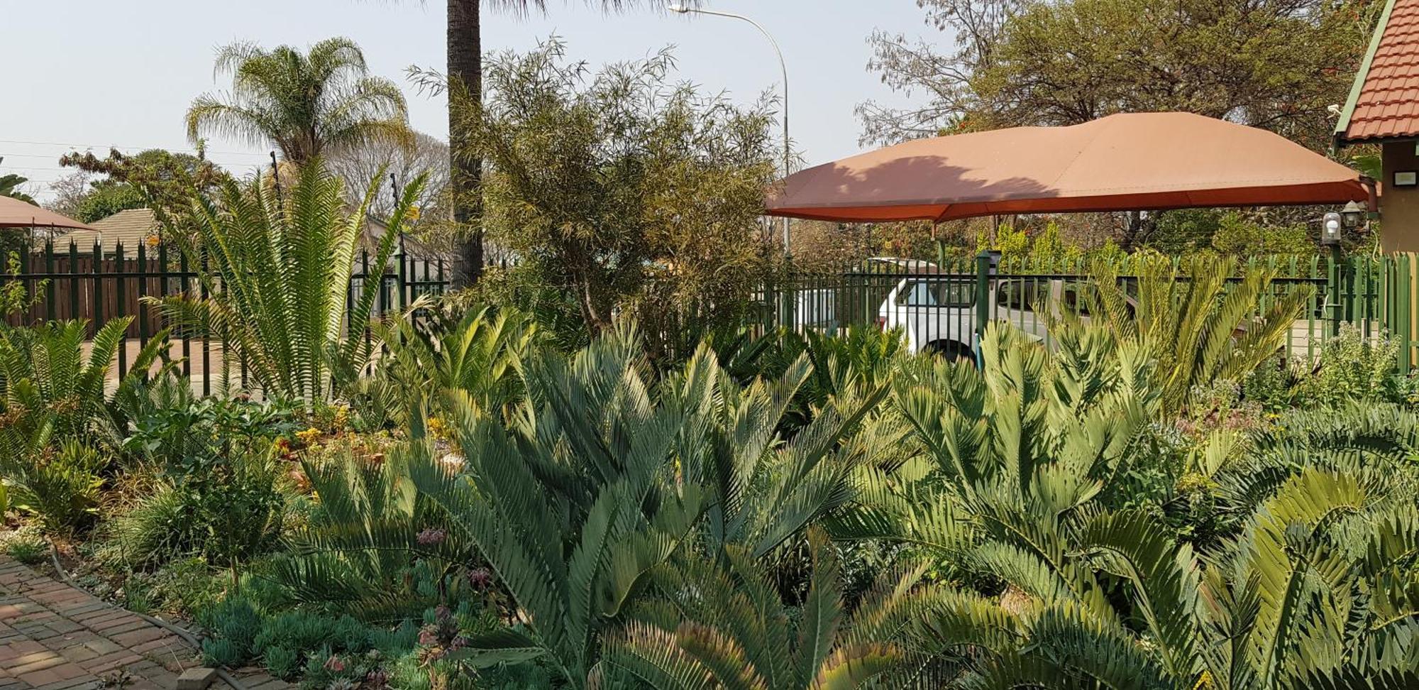 Garden Near Savannah Mall *